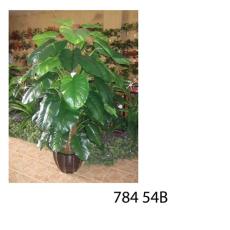 Ù†Ø¨Ø§ØªØ§Øª ØµÙ†Ø§Ø¹ÙŠØ©