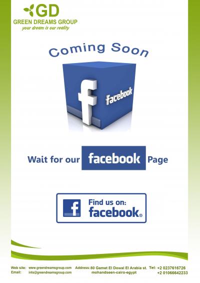 ØµÙØ­Ø© Ø§Ù„ÙÙŠØ³ Ø¨ÙˆÙƒ